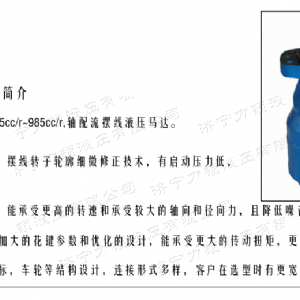 BMH系列并列油口乐玩官方（中国）总部马达