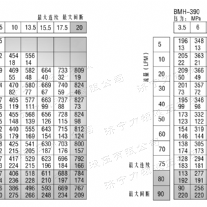 BMH系列并列油口乐玩官方（中国）总部马达