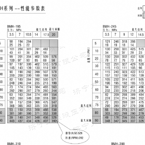 BMH系列并列油口乐玩官方（中国）总部马达