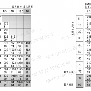 BMH系列并列油口乐玩官方（中国）总部马达
