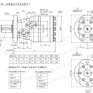 BMH系列交错油口乐玩官方（中国）总部马达